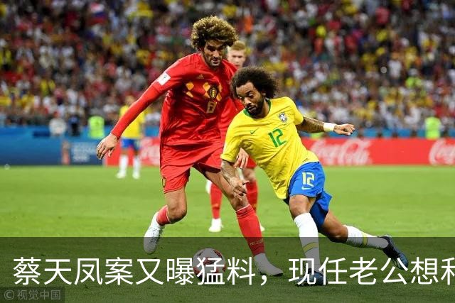蔡天凤案又曝猛料，现任老公想和前夫发生关系，并承认500万输光